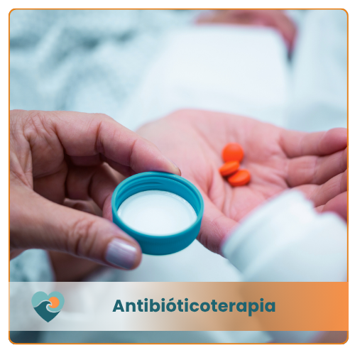 Antibióticoterapia